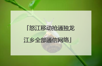 怒江移动抢通独龙江乡全部通信网络