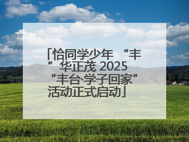 恰同学少年 “丰”华正茂 2025“丰台·学子回家”活动正式启动