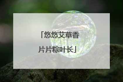 悠悠艾草香 片片粽叶长