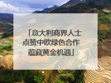 意大利商界人士点赞中欧绿色合作蕴藏黄金机遇