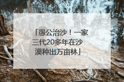 愚公治沙！一家三代20多年在沙漠种出万亩林