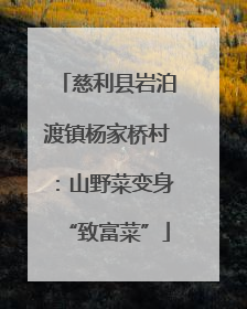 慈利县岩泊渡镇杨家桥村：山野菜变身“致富菜”