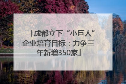 成都立下“小巨人”企业培育目标：力争三年新增350家