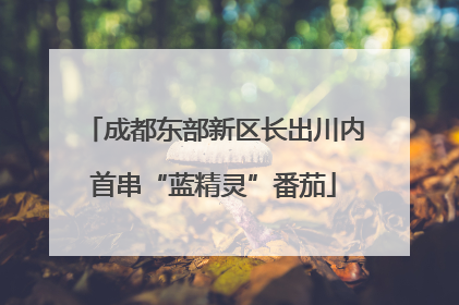成都东部新区长出川内首串“蓝精灵”番茄