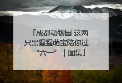 成都动物园 这两只黑猩猩萌宝陪你过“六一”｜图集