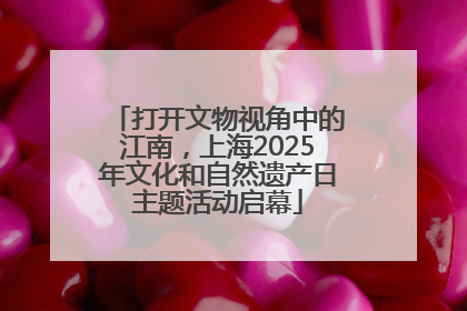 打开文物视角中的江南，上海2025年文化和自然遗产日主题活动启幕
