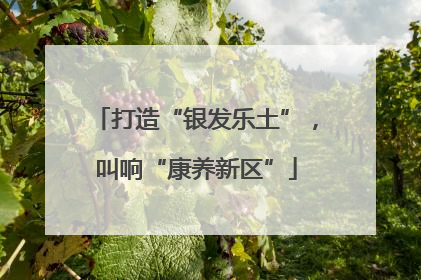 打造“银发乐土”，叫响“康养新区”
