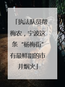 执法队员帮梅农，宁波这条“杨梅街”有最鲜甜的市井烟火