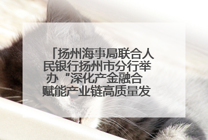 扬州海事局联合人民银行扬州市分行举办“深化产金融合 赋能产业链高质量发展”共建联学活动