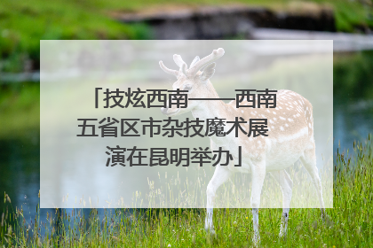 技炫西南——西南五省区市杂技魔术展演在昆明举办