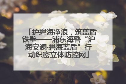 护碧海净浪，筑蓝盾铁壁——浦东海警“沪海安澜·碧海蓝盾”行动织密立体防控网