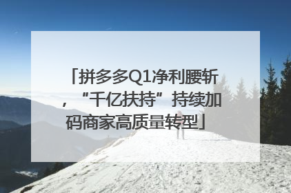 拼多多Q1净利腰斩，“千亿扶持”持续加码商家高质量转型