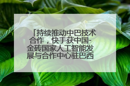 持续推动中巴技术合作，快手获中国-金砖国家人工智能发展与合作中心驻巴西成果转化中心授牌