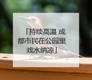 持续高温 成都市民在公园里戏水纳凉