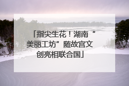 指尖生花！湖南“美丽工坊”随故宫文创亮相联合国