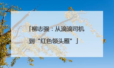 柳志强：从滴滴司机到“红色领头雁”