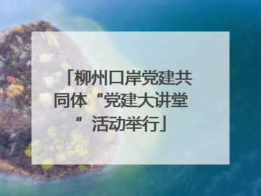 柳州口岸党建共同体“党建大讲堂”活动举行