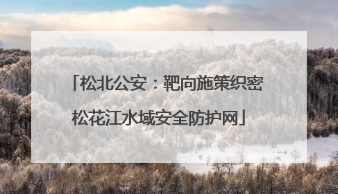 松北公安：靶向施策织密松花江水域安全防护网