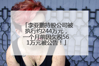 李亚鹏持股公司被执行约244万元，一个月前因欠税561万元被公告！