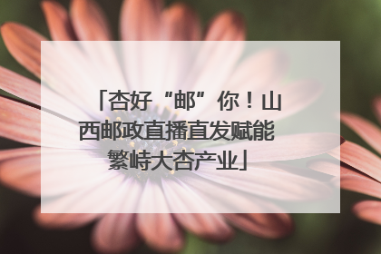 杏好“邮”你！山西邮政直播直发赋能繁峙大杏产业