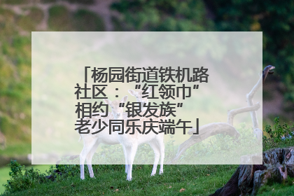 杨园街道铁机路社区：“红领巾”相约“银发族” 老少同乐庆端午