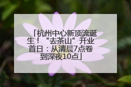 杭州中心新顶流诞生！“去茶山”开业首日：从清晨7点卷到深夜10点