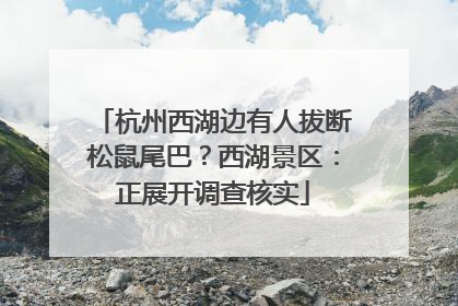 杭州西湖边有人拔断松鼠尾巴？西湖景区：正展开调查核实
