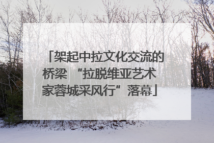 架起中拉文化交流的桥梁 “拉脱维亚艺术家蓉城采风行”落幕