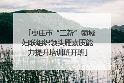 枣庄市“三新”领域妇联组织领头雁素质能力提升培训班开班
