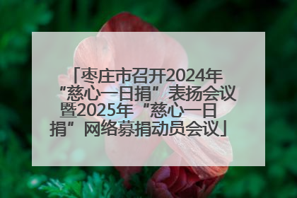 枣庄市召开2024年“慈心一日捐”表扬会议暨2025年“慈心一日捐”网络募捐动员会议