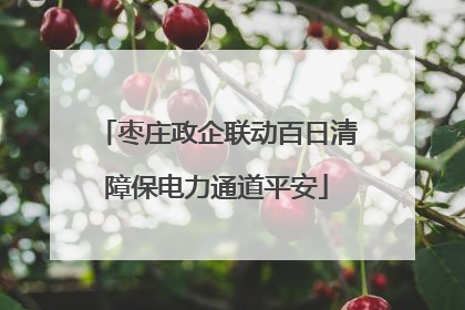 枣庄政企联动百日清障保电力通道平安
