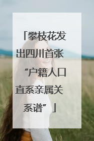 攀枝花发出四川首张“户籍人口直系亲属关系谱”