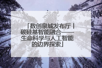 数创泉城发布厅丨碳硅基智能融合——生命科学与人工智能的边界探索