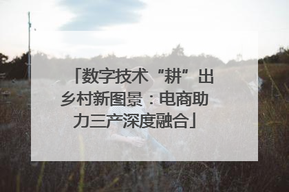 数字技术“耕”出乡村新图景：电商助力三产深度融合