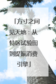 方寸之间见天地：从特区试验田到提振消费引擎