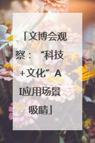 文博会观察：“科技+文化”AI应用场景吸睛