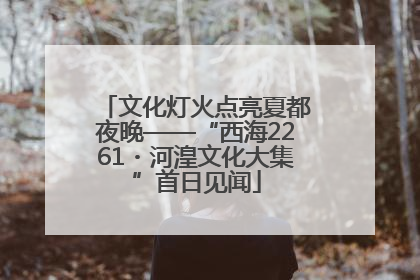 文化灯火点亮夏都夜晚——“西海2261・河湟文化大集”首日见闻