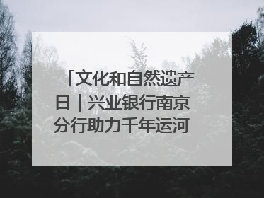 文化和自然遗产日｜兴业银行南京分行助力千年运河焕新出彩