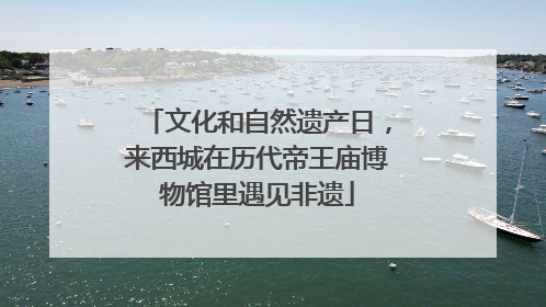 文化和自然遗产日，来西城在历代帝王庙博物馆里遇见非遗