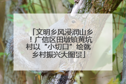 文明乡风浸润山乡！广信区田墩镇黄坑村以“小切口”绘就乡村振兴大图景