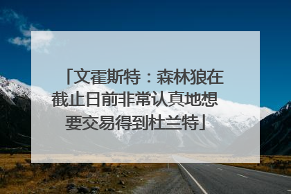 文霍斯特：森林狼在截止日前非常认真地想要交易得到杜兰特