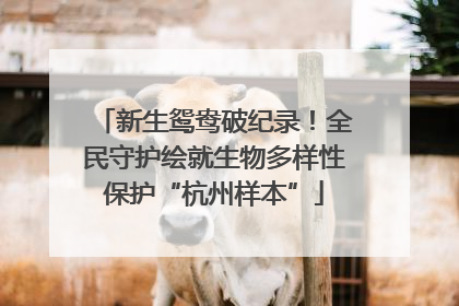 新生鸳鸯破纪录！全民守护绘就生物多样性保护“杭州样本”