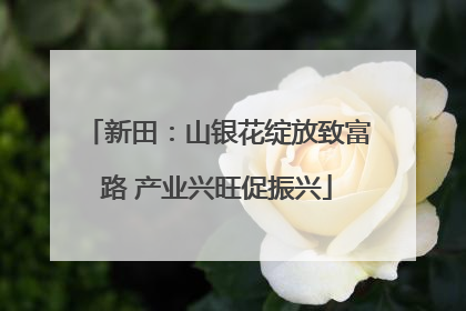 新田：山银花绽放致富路 产业兴旺促振兴