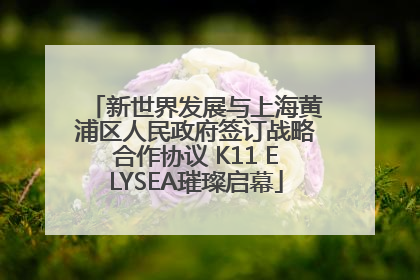 新世界发展与上海黄浦区人民政府签订战略合作协议 K11 ELYSEA璀璨启幕