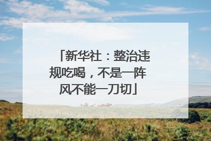 新华社：整治违规吃喝，不是一阵风不能一刀切