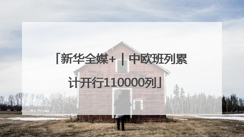 新华全媒+｜中欧班列累计开行110000列