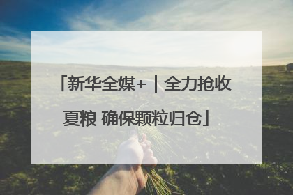 新华全媒+｜全力抢收夏粮 确保颗粒归仓