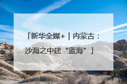 新华全媒+｜内蒙古：沙海之中建“蓝海”