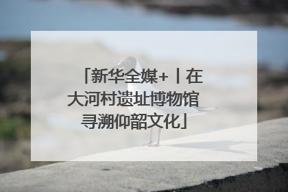 新华全媒+丨在大河村遗址博物馆寻溯仰韶文化