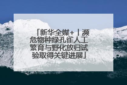新华全媒+丨濒危物种绿孔雀人工繁育与野化放归试验取得关键进展